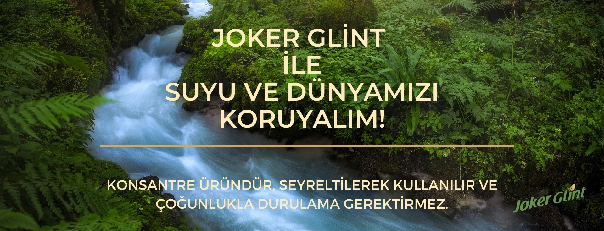 Joker Glint Bitkisel Temizleyici